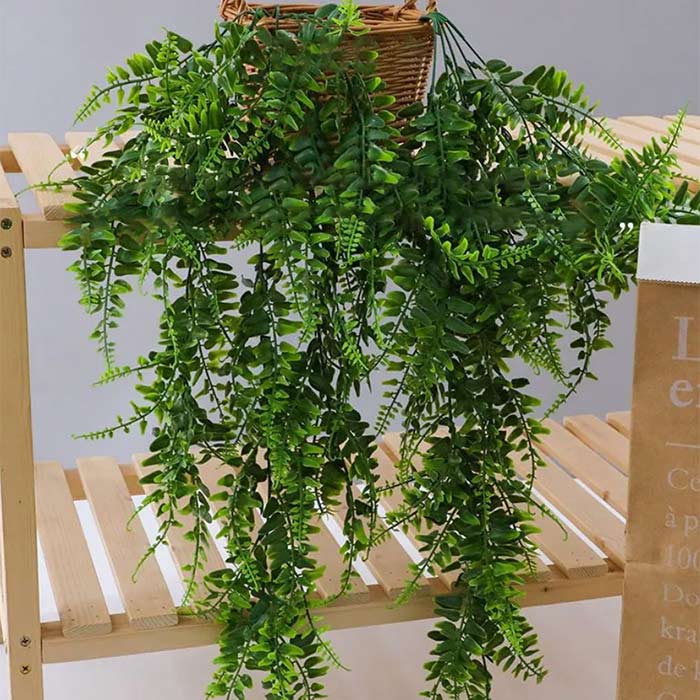 Fern , Viseči Umetni Praprot Fern 1+1 GRATIS - Image 4