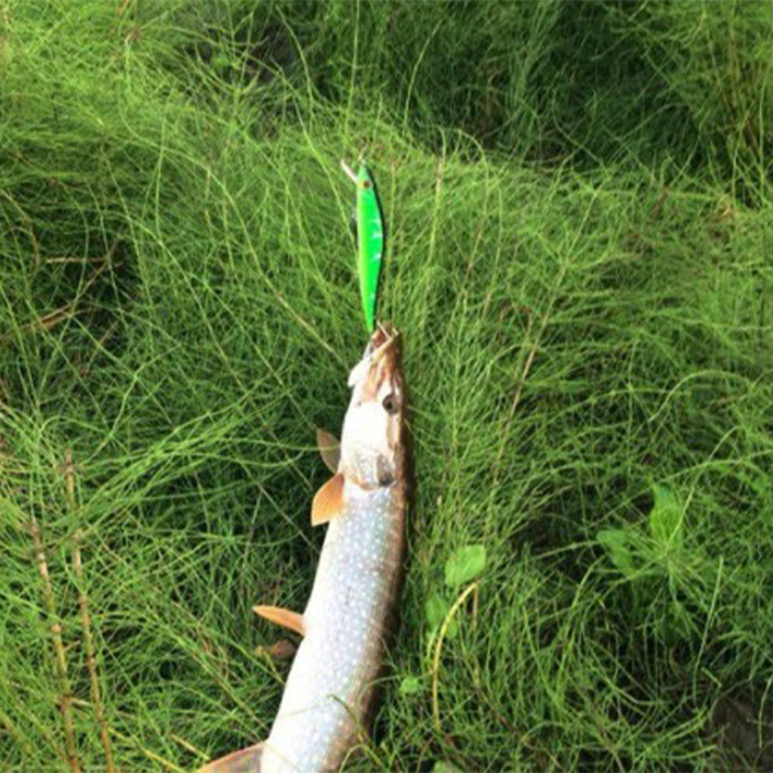 BaitFish, realistična umetna vaba z vrtljivim repom - Image 10