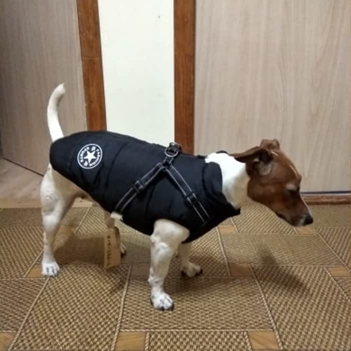 DogJacket, vodoodbojni plašč za psa z odsevnimi šivi - Image 10