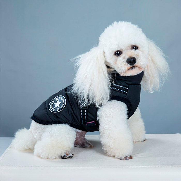 DogJacket, odseven in vodoodporen zimski plašč za psa - Image 15