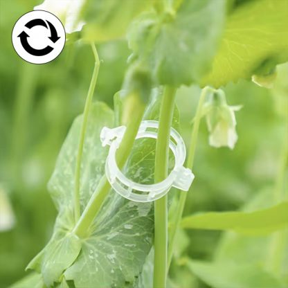 PLANTCLIP, GreenGrow Podpora za Rastline - 60 Sponk - Image 4