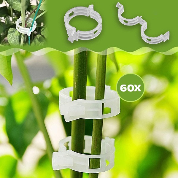 PLANTCLIP, GreenGrow Podpora za Rastline - 60 Sponk - Image 5
